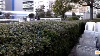 国产AV 皇家华人 RAS0155 巨乳妹妹硬援团 用小穴汁援哥哥用功读书 夜夜